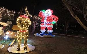 2025 12 02 SANARY SUR MER - PROMEDADE  AMBIANCE NOEL (68)